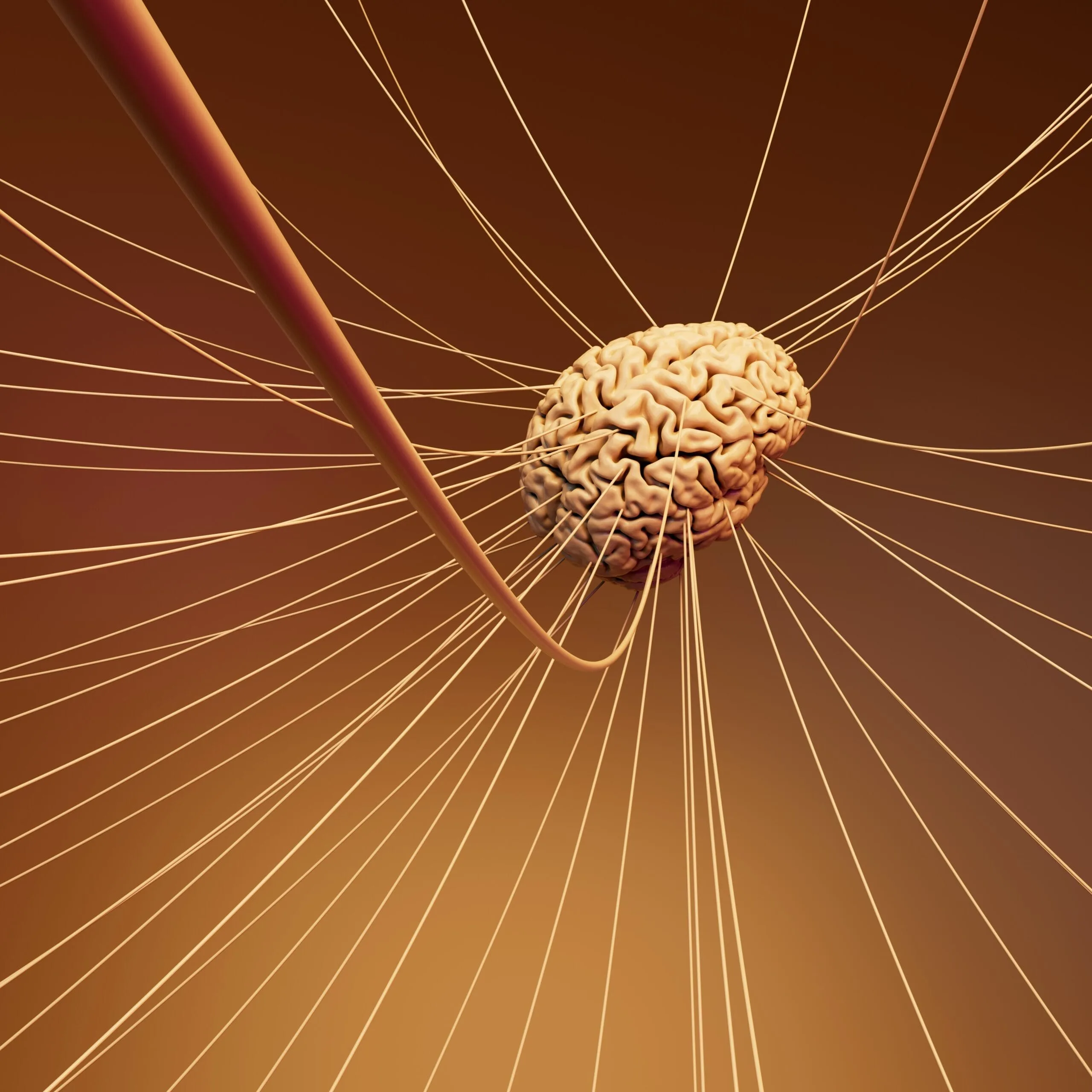 brain with wires